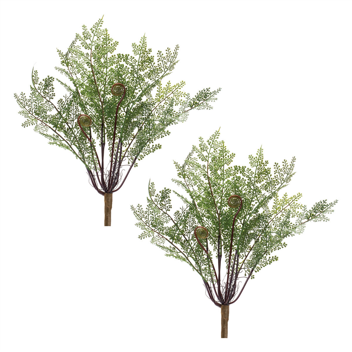 Fern Bush (Set of 2) -Ship Only