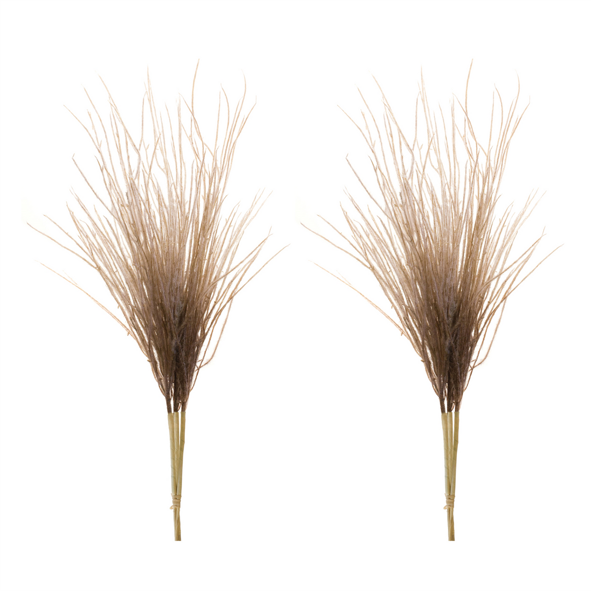 Grass Plume Bundle (Set of 2) -Ship Only