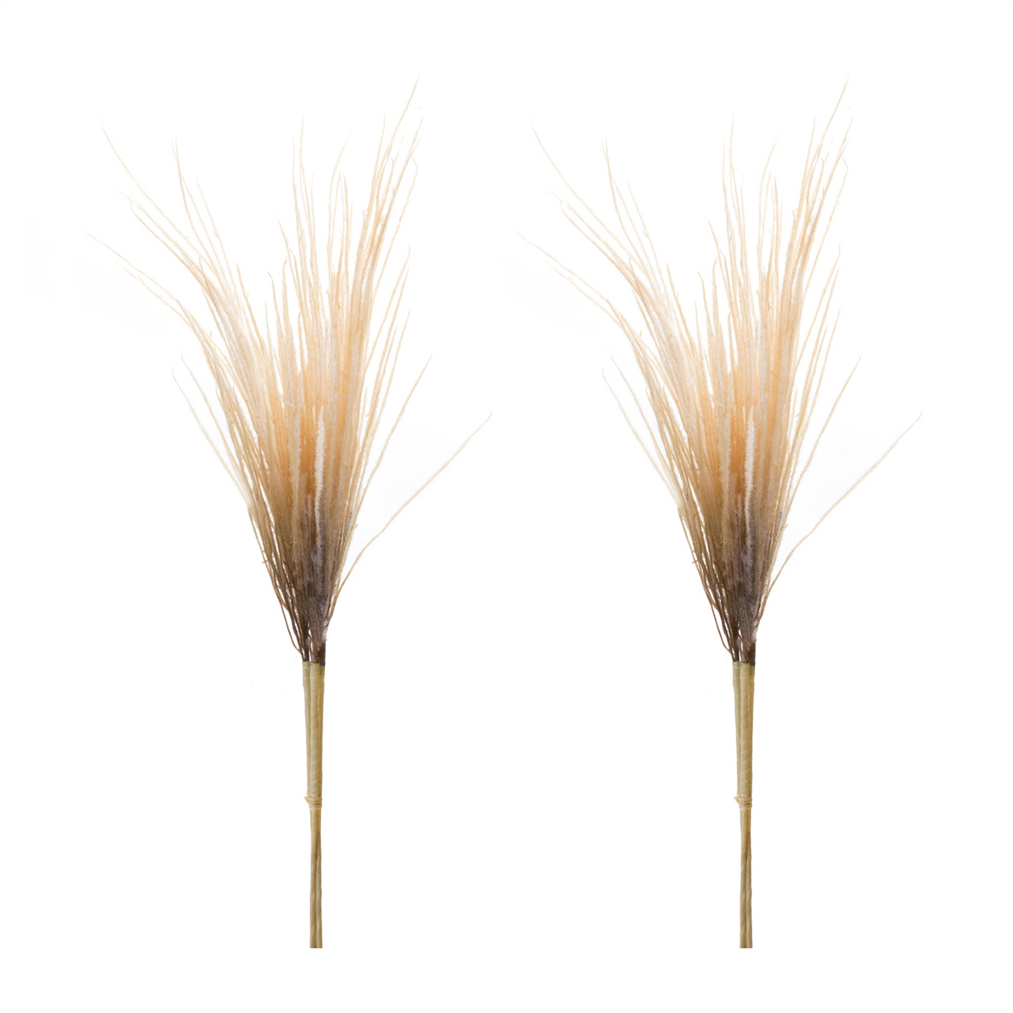 Grass Plume Bundle (Set of 2) -Ship Only