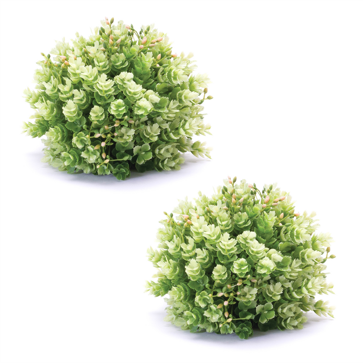 Foliage Half Orb (Set of 2) -Ship Only
