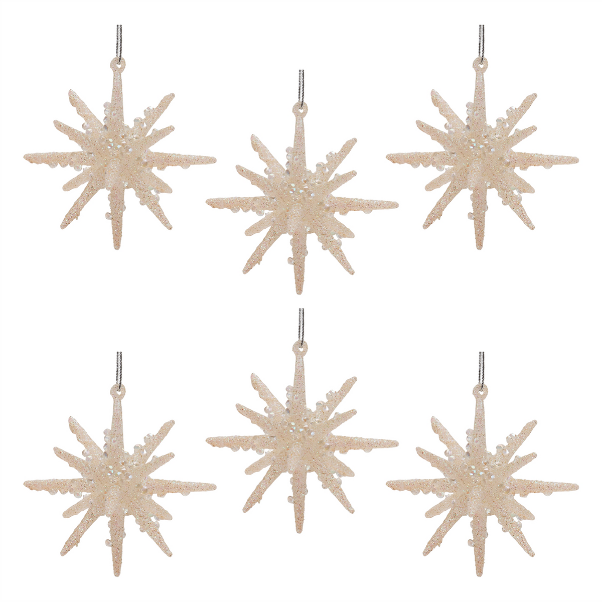 Frosted Glass Star Ornament (Set of 6) -Ship Only