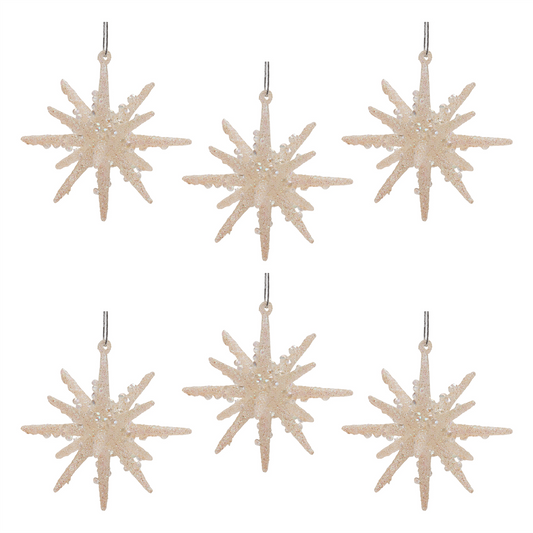 Frosted Glass Star Ornament (Set of 6)