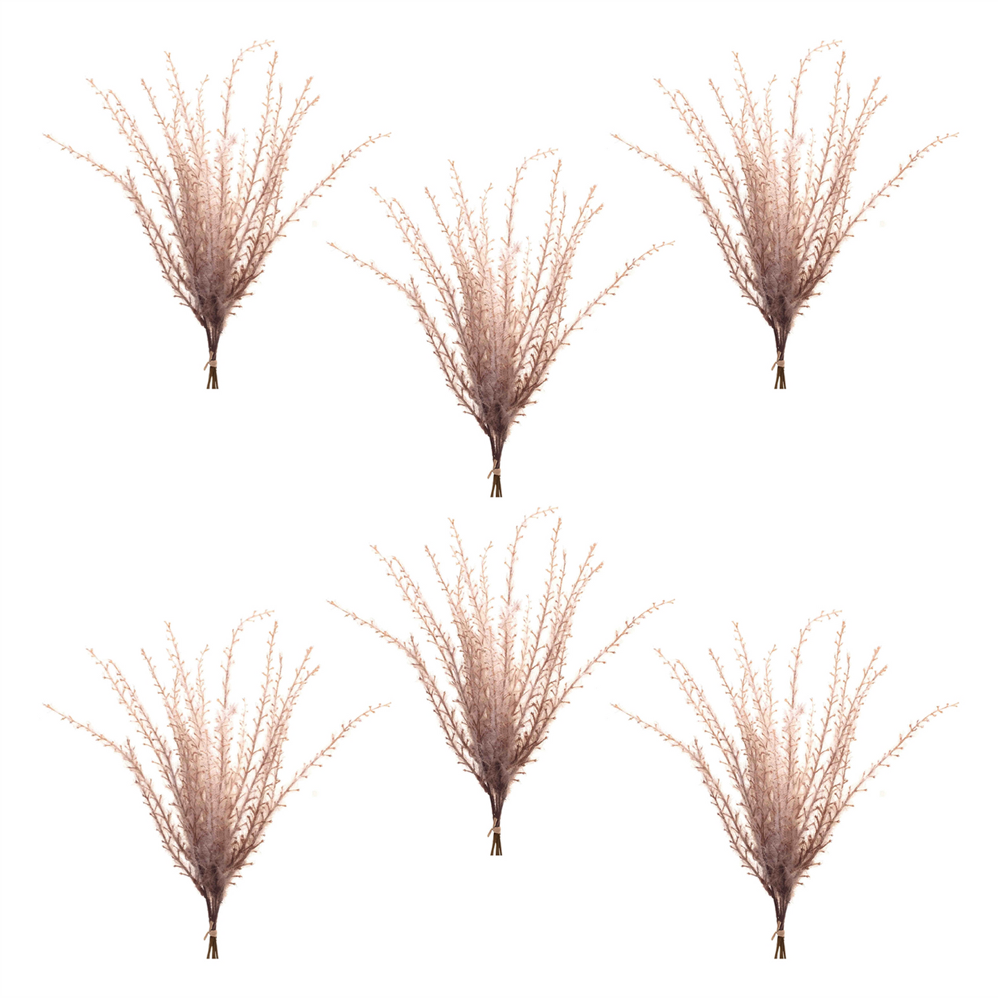 Grass Plume Bundle (Set of 6) -Ship Only