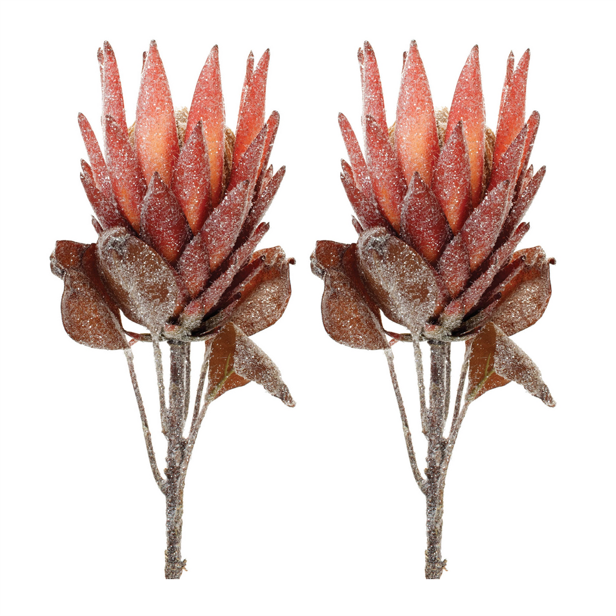 Red Protea Flower Stem (Set of 2) -Ship Only
