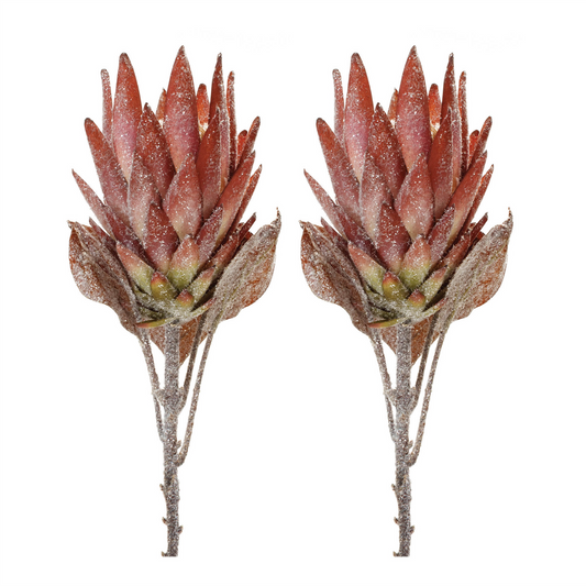 Orange Protea Flower Stem (Set of 2) -Ship Only