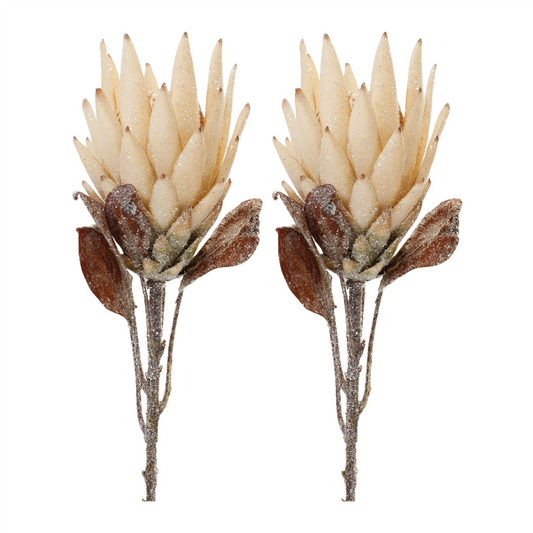 Beige Protea Flower Stem (Set of 2) -Ship Only