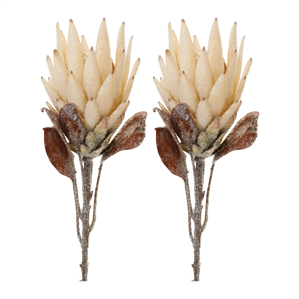 Beige Protea Flower Stem (Set of 2) -Ship Only