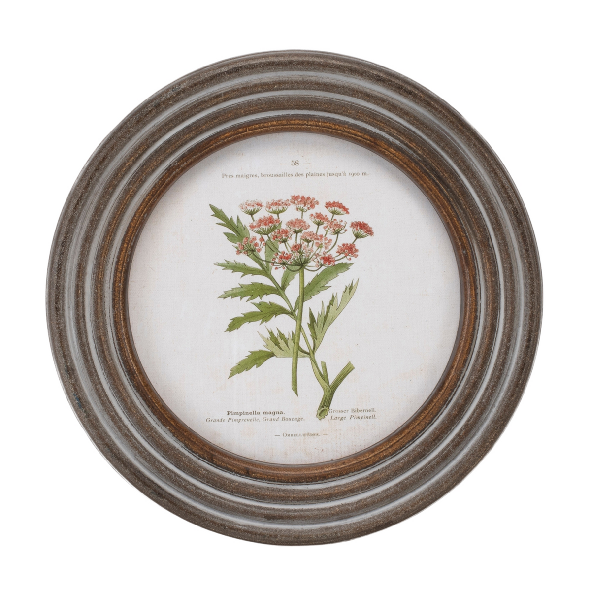 Round Framed Floral Print (Set of 6) -Ship Only