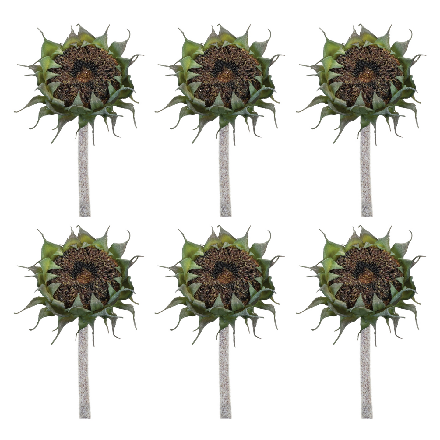 Brown Sunflower Stem (Set of 6) -Ship Only