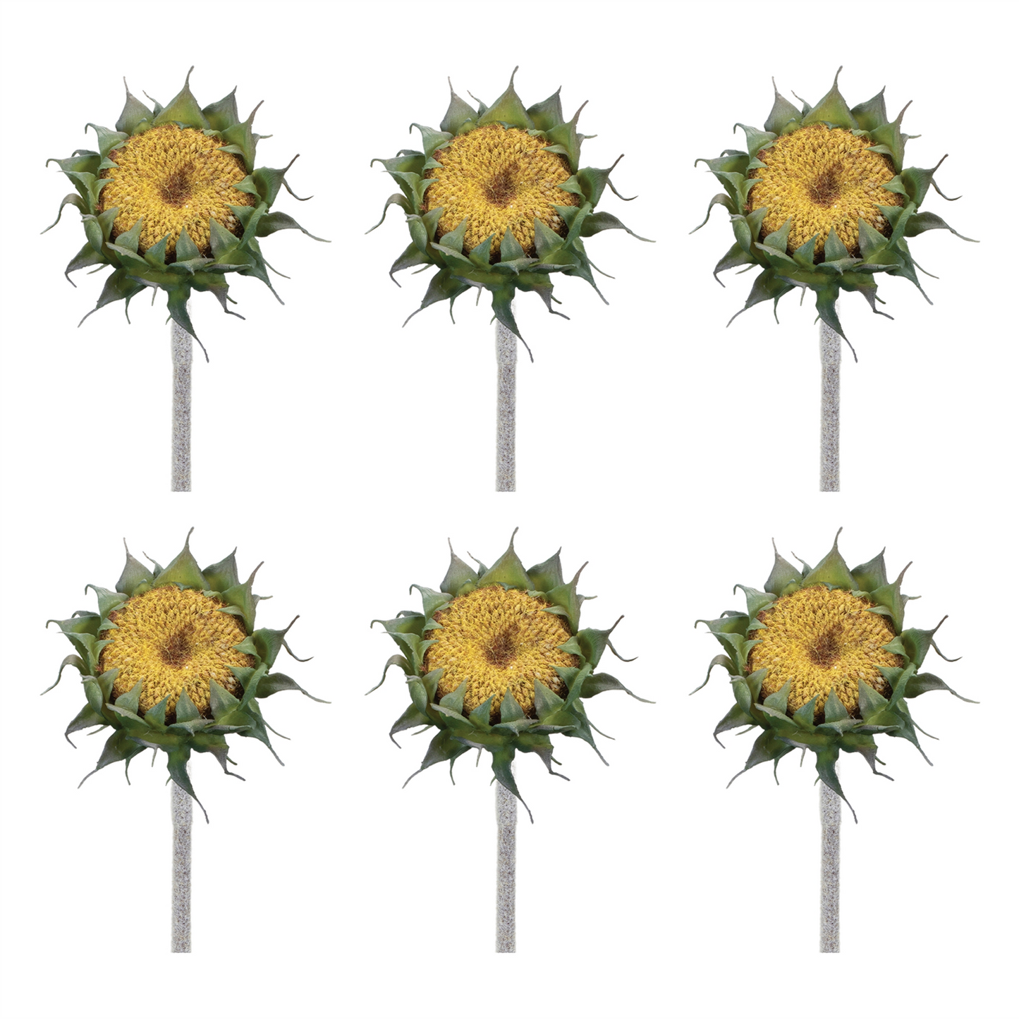 Yellow Sunflower Stem (Set of 6) -Ship Only
