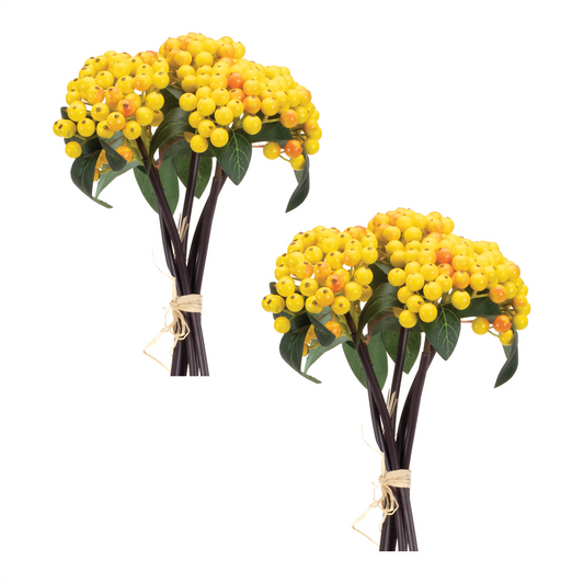 Yellow Berry Bundle (Set of 2) -Ship Only