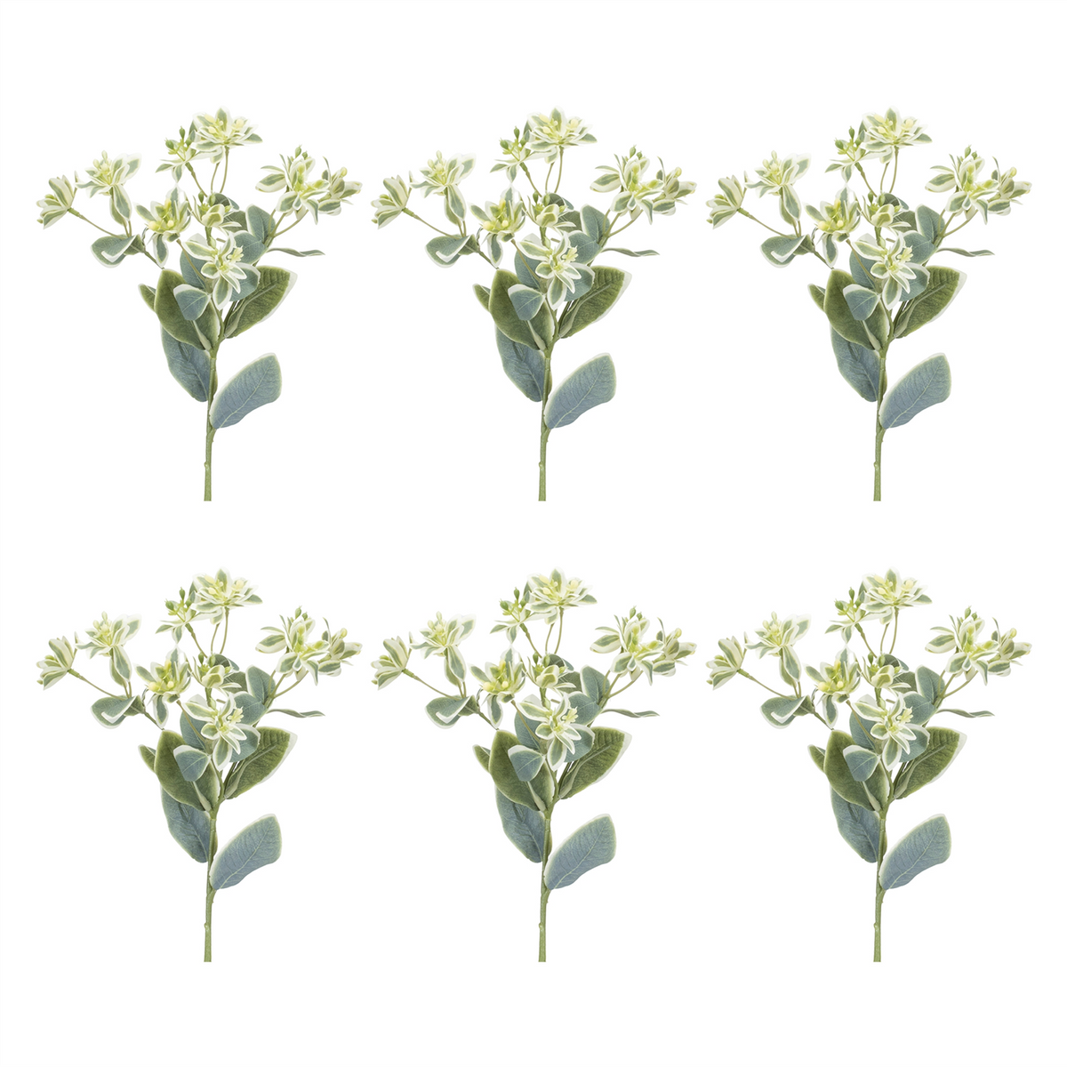 Euphorbia Floral Stem (Set of 6) -Ship Only