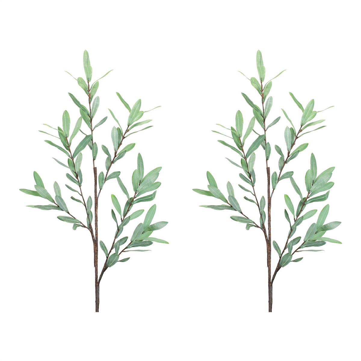 Olive Leaf Twig Branch (Set of 2) -Ship Only