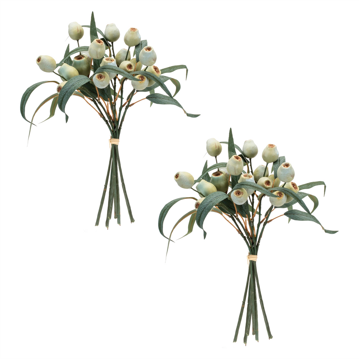 Green Pod Foliage Bundle (Set of 2) -Ship Only