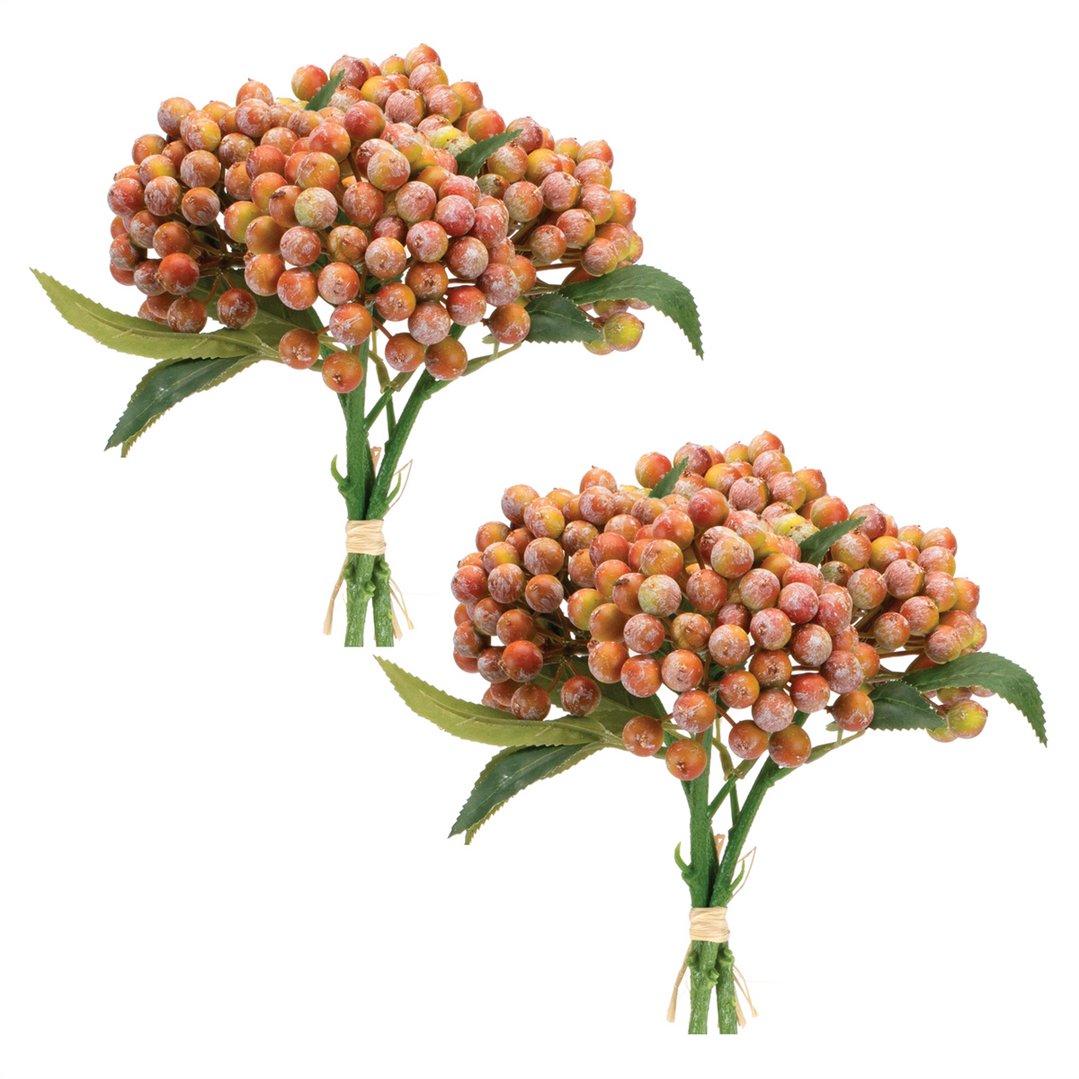 Orange Berry Bundle (Set of 2) -Ship Only