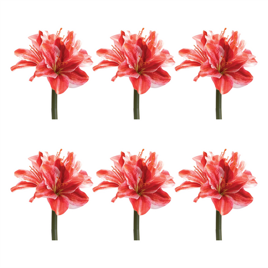 Amaryllis Flower Stem (Set of 6) -Ship Only