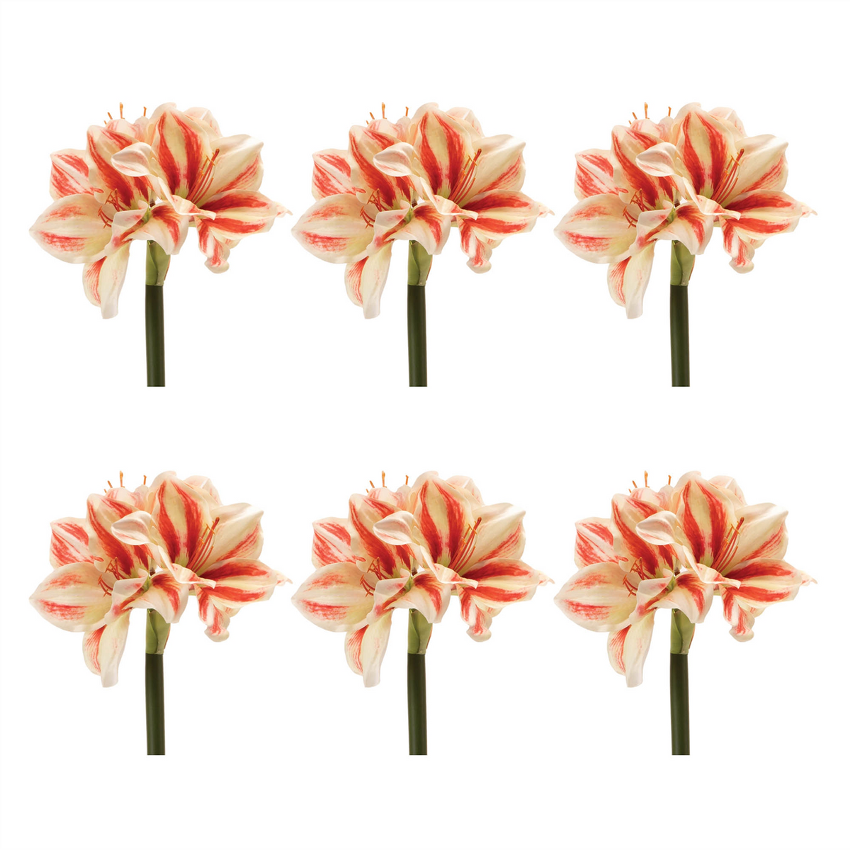Amaryllis (Set of 6) 17.5”H Polyester -Ship Only