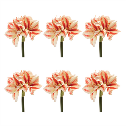 Amaryllis (Set of 6) 17.5”H Polyester -Ship Only