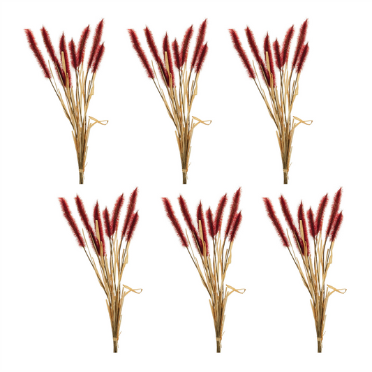 Fall Foxtail Grass Bundle (Set of 6) -Ship Only