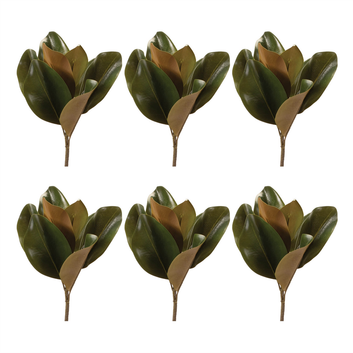 Magnolia Leaf Spray (Set of 6)