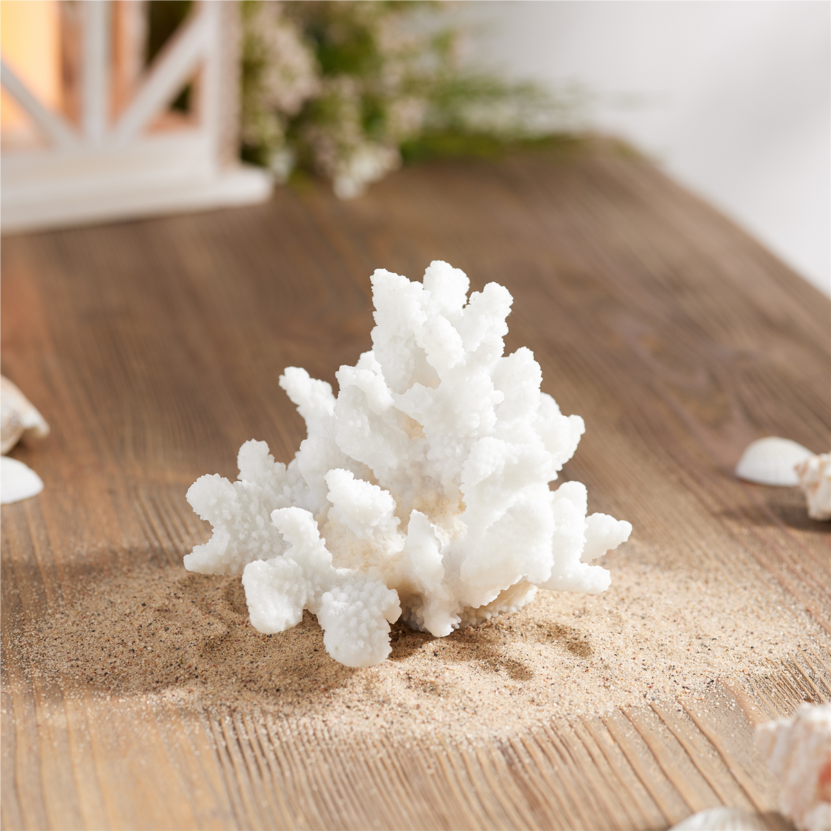 Set of 4 White Resin Coral Decorative Sculptures -Ship Only