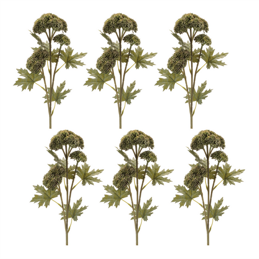 Sedum Succulent Spray (Set of 6) -Ship Only