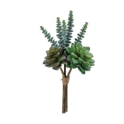 Succulent Bundle (Set of 6) 8.5"H, 8.75"H, 9.5"H Plastic