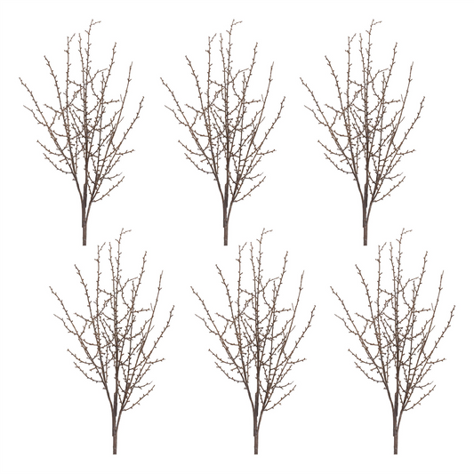 Birch Twig Branch (Set of 6) -Ship Only