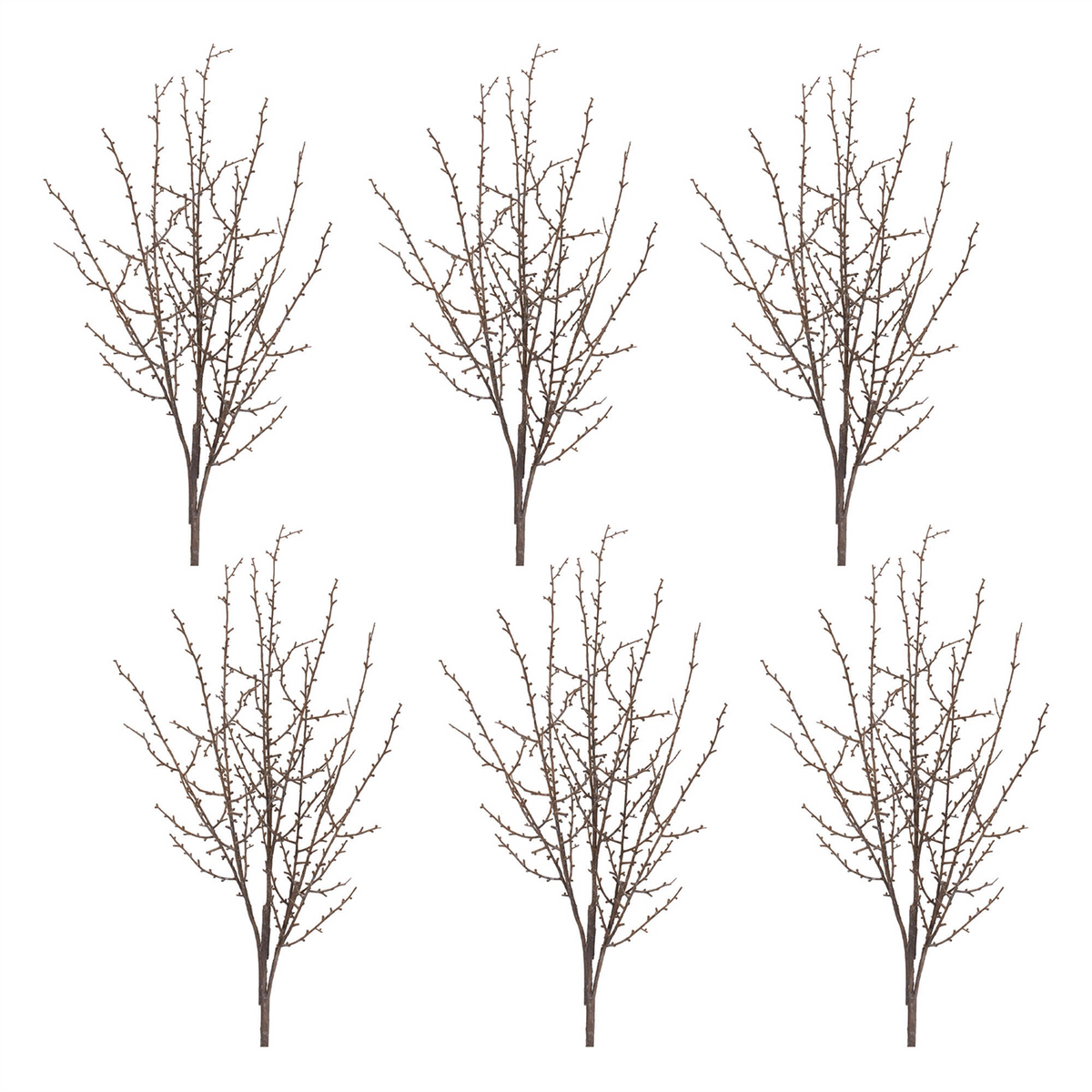 Birch Twig Branch (Set of 6) -Ship Only