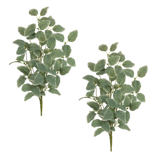 Variegated Foliage Spray (Set of 2) -Ship Only