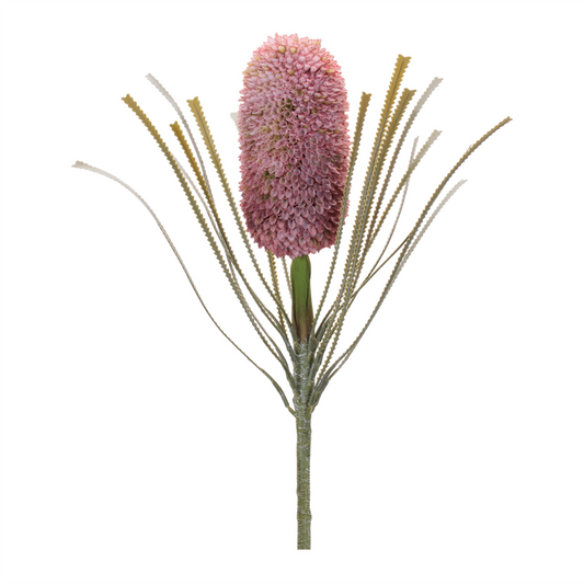 Protea Floral Stem (Set of 2) -Ship Only