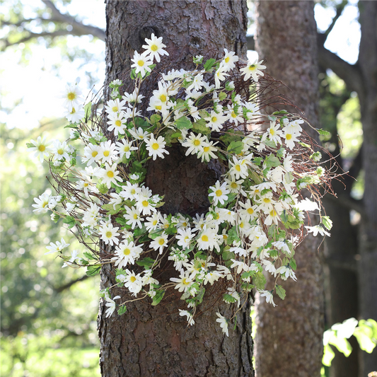White Daisy Floral Wreath 23"D -Ship Only