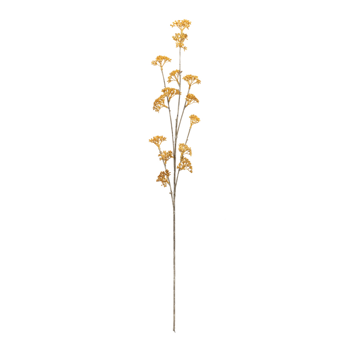 Golden Patrina Spray (Set of 12) -Ship Only