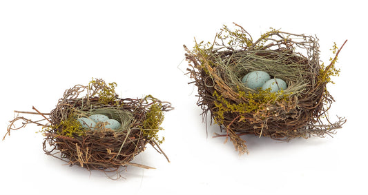 Birds Nest with Eggs (Set of 12) -Ship Only