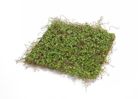 Moss Mat (Setof 12) 12"SQ Polyester/Plastic -Ship Only