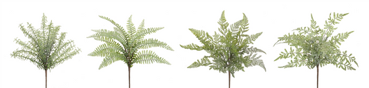 Assorted Fern Foliage Bush (Set of 12) -Ship Only