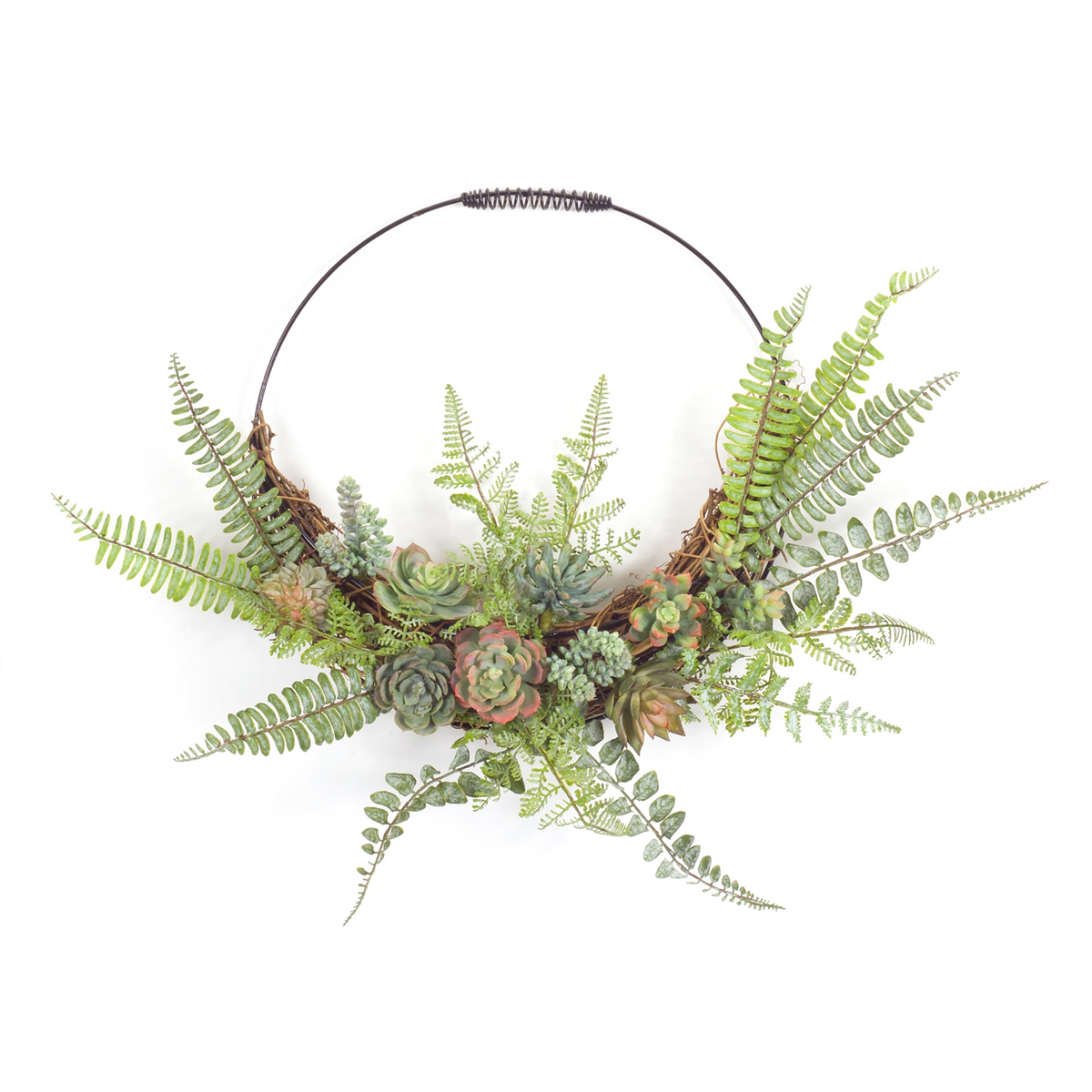 Fern and Succulent Wall Décor 24.5" x 19.25"H Plastic/Wire -Ship Only