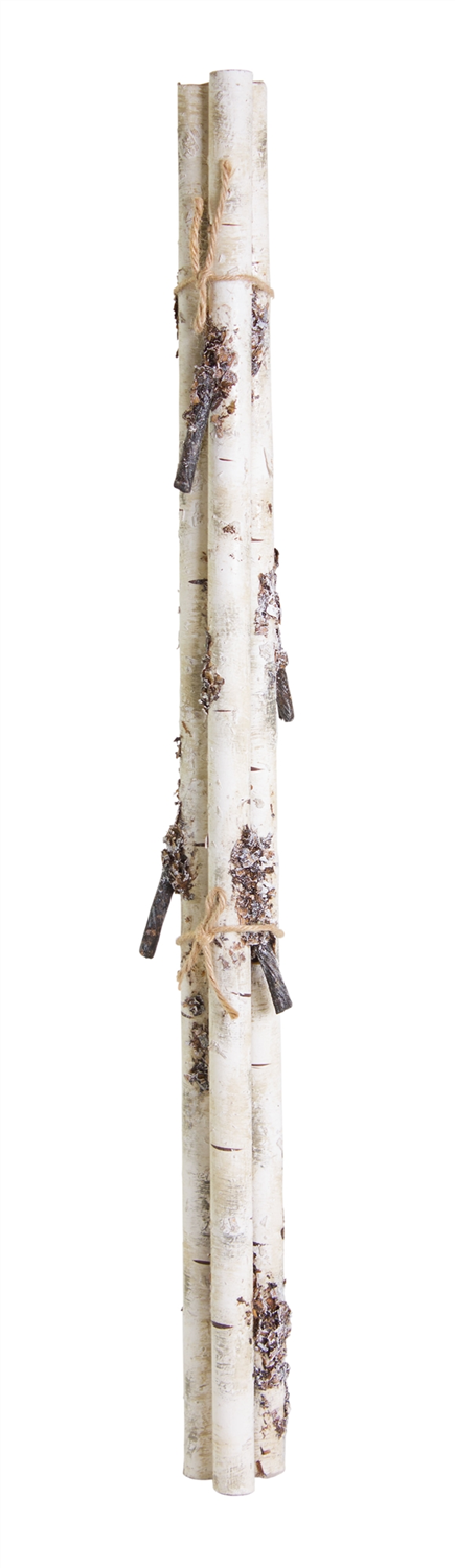 Rustic Birch Log Bundle with Snowy Accents (Set of 12) -Ship Only