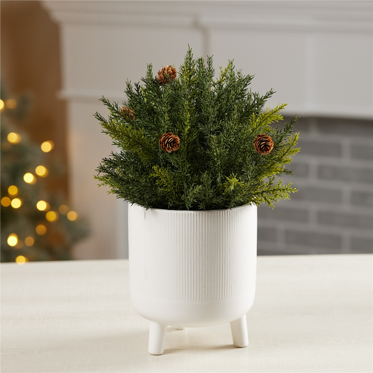 Arborvitae Half Orb 8.5”D Plastic -Ship Only