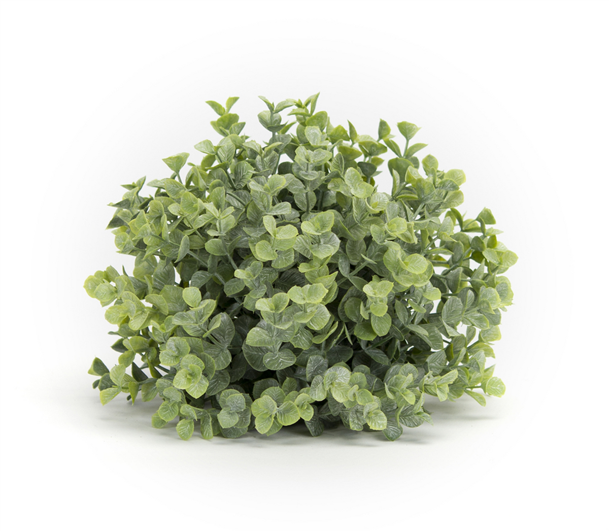 Spring Boxwood Foliage Half Orb (Set of 6) -Ship Only