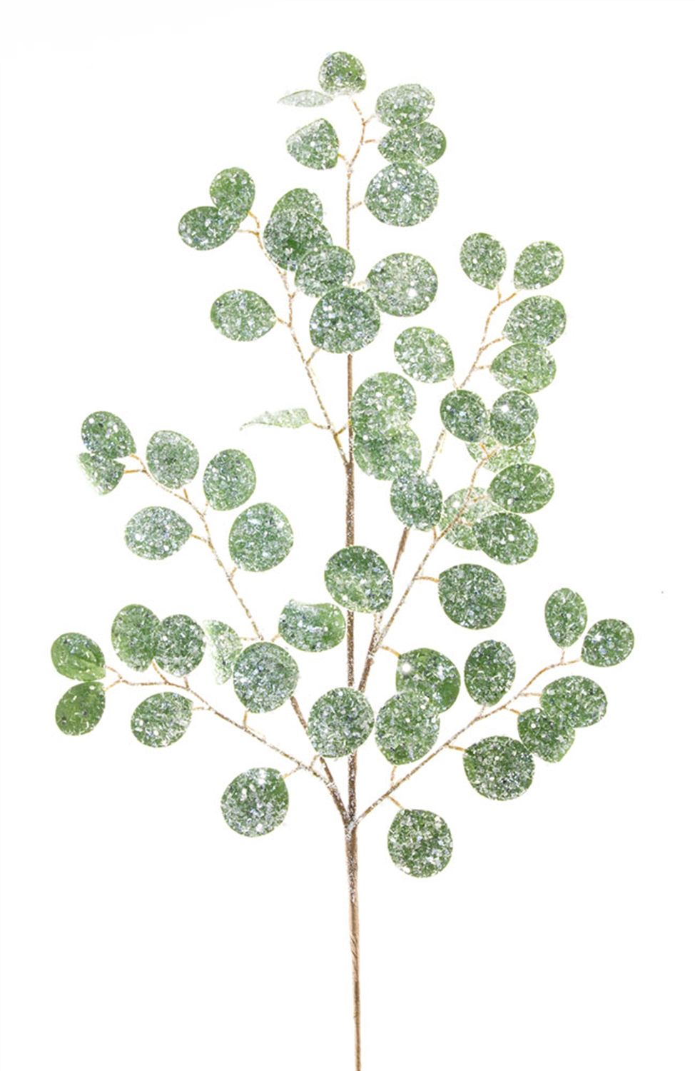 Frosted Silver Dollar Eucalyptus Spray (Set of 12) -Ship Only