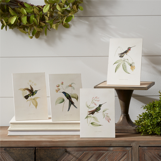 Tabletop Encyclopedia Hummingbird Print (Set of 4) -Ship Only