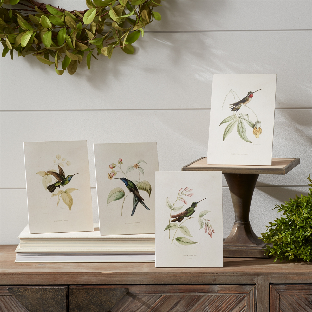 Tabletop Encyclopedia Hummingbird Print (Set of 4) -Ship Only