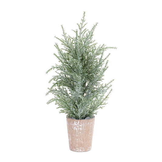 Frosted Holiday Pine Tree in Paper Pot (Set of 4) -Ship Only
