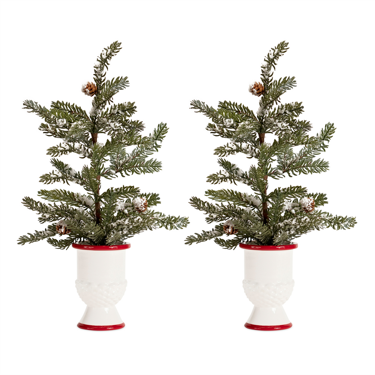 Mini Pine Tree with Ceramic Pot (Set of 2) -Ship Only