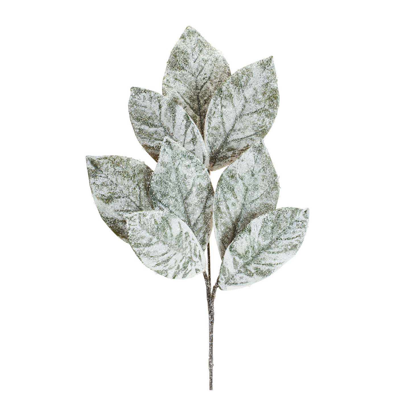 Frosted Winter Magnolia Leaf Spray (Set of 6) -Ship Only