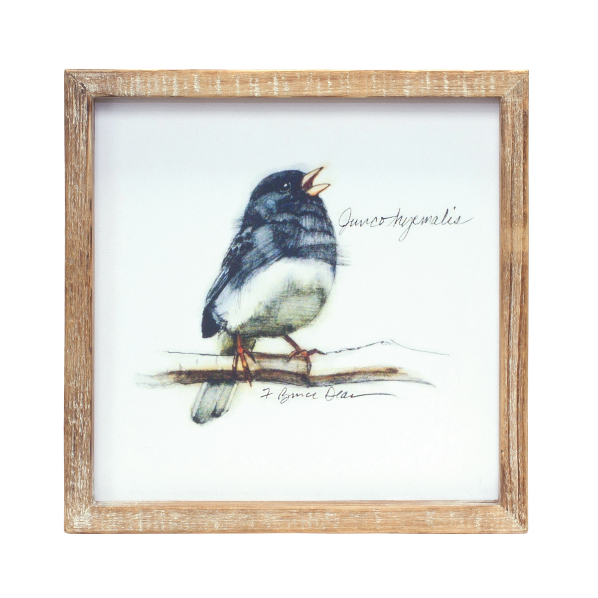 Framed Bird Print (Set of 4) 9.5”SQ MDF/Wood -Ship Only