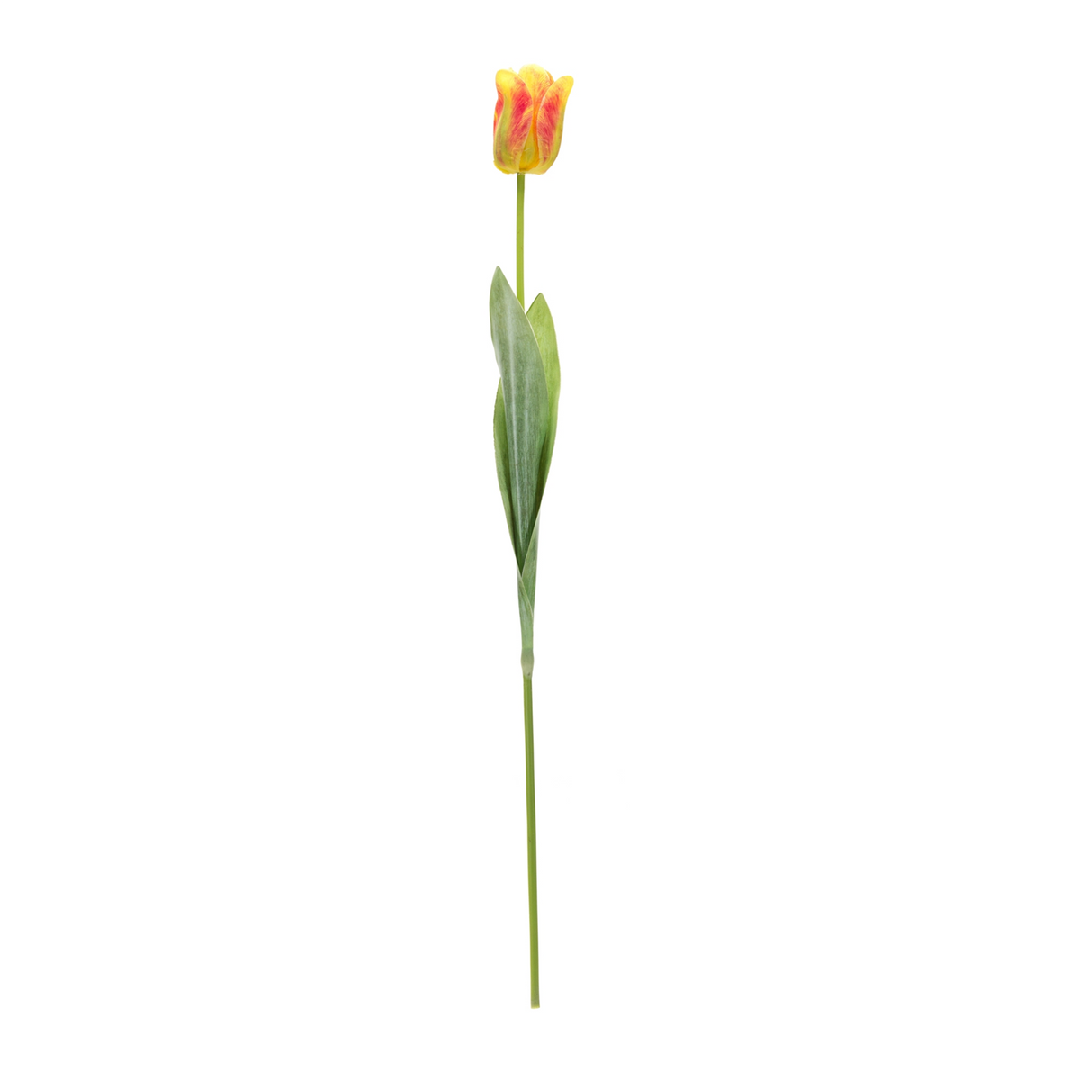 Tulip Floral Stem (Set of 6) -Ship Only