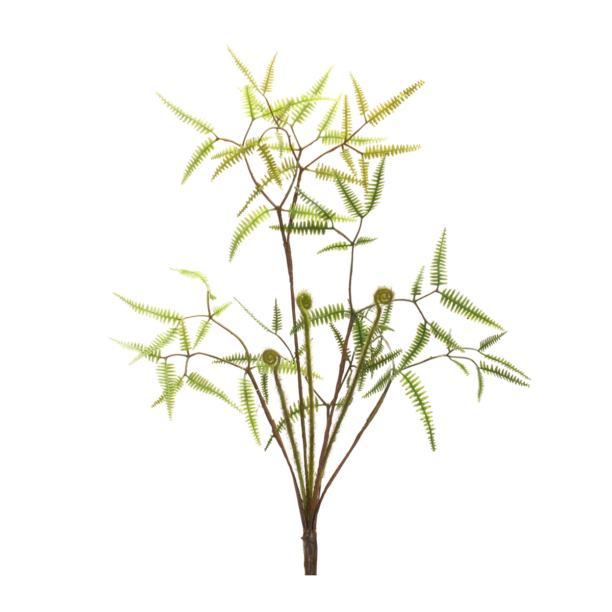 Mini Fern Foliage Bush with Sprout Accent (Set of 6) -Ship Only
