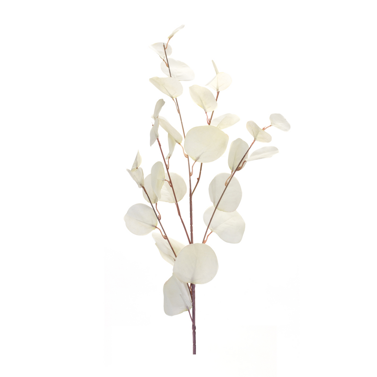 Ivory Silver Dollar Eucalyptus Leaf Spray (Set of 6) -Ship Only